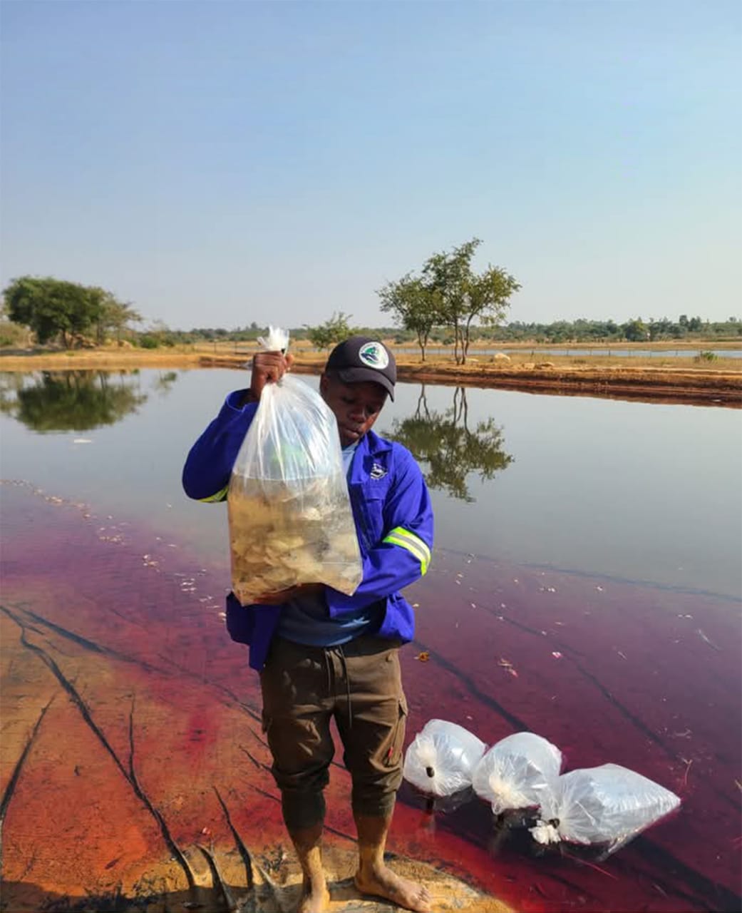 Fish Ponds